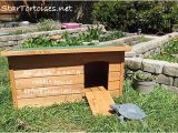 Tortoise House Plans Pin tortoise House Plans Image Search Results On Pinterest