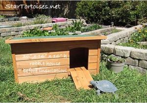 Tortoise House Plans Pin tortoise House Plans Image Search Results On Pinterest