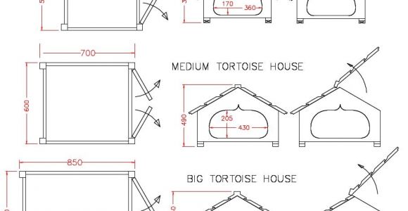Tortoise House Plans Small tortoise House tortoisehsml tortoise Houses by