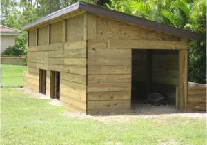 Tortoise House Plans Sulcata tortoise House House Plan 2017