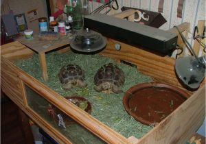 Tortoise House Plans tortoise House Plans tortoise House Plans Ideas with