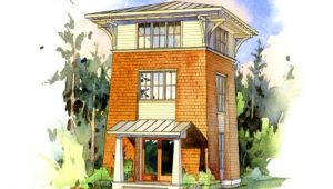 Tower Home Plans the Alder tower Perfect Little House