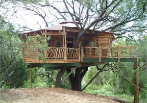 Tree Home Plans 18 Amazing Tree House Designs Mostbeautifulthings