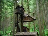 Tree House Home Plans 18 Amazing Tree House Designs Mostbeautifulthings