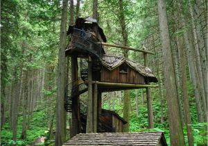 Tree House Home Plans 18 Amazing Tree House Designs Mostbeautifulthings Tree House Home Plans 18 Amazing Tree House Designs Mostbeautifulthings