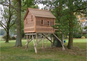 Tree House Home Plans Amazing Tree House Designs Tedx Decors Tree House Home Plans Amazing Tree House Designs Tedx Decors