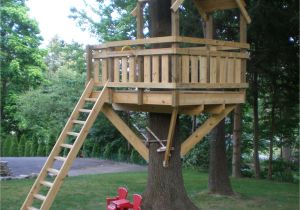Tree House Home Plans Tree fort Ladder Gate Roof Finale Tree Houses Tree
