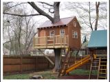 Tree House Home Plans Tree House Plans Design