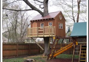 Tree House Home Plans Tree House Plans Design Tree House Home Plans Tree House Plans Design