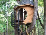 Tree House Plans for Sale 59 Awesome Stock Of Tree House Plans for Adults House