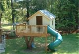 Tree House Plans for Sale Backyard Treehouse Kit Ketoneultras Com