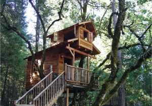 Tree House Plans for Sale Building Your Own Tree House How to Build A House
