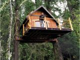 Tree House Plans for Sale Goat island Tree House Partners Turn to Kickstarter to
