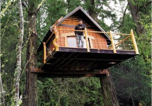 Tree House Plans for Sale Goat island Tree House Partners Turn to Kickstarter to