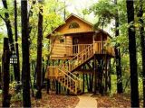 Tree House Plans for Sale Livable Tree Houses for Sale for Adults Best House Design