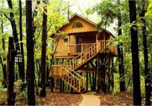 Tree House Plans for Sale Livable Tree Houses for Sale for Adults Best House Design