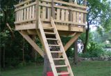 Tree House Plans for Sale Tree fort Ladder Gate Roof Finale Village Custom