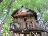 Tree House Plans for Sale Tree House Design Ideas for Modern Family