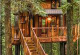 Tree House Plans for Sale Tree House Plus normal One for Sale In Woodinville
