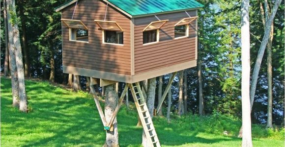 Tree House Plans for Sale Unique Tree House Plans and Designs Free New Home Plans