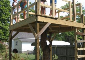 Tree House Plans without A Tree 15 Building A Tree House Designs Images Tree Housesimple