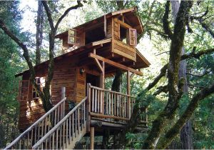 Tree House Plans without A Tree 50 Kids Treehouse Designs