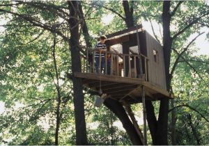 Tree House Plans without A Tree 70 Fun Kids Tree Houses Picture Ideas and Examples