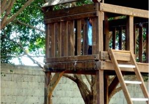 Tree House Plans without A Tree How to Build A Treehouse without A Tree for Kids Www