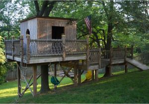 Tree House Plans without A Tree How to Shoot A Treehouse Accent Interactive