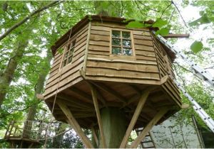 Tree House Plans without A Tree Wettest Tree House Build yet Squirrel Design