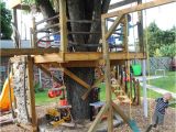 Tree House Swing Set Plans Swing Set with Tree House Plans House Design Plans