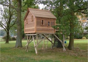 Tree Houses Plans and Designs Amazing Tree House Designs Tedx Decors