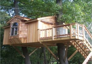 Tree Houses Plans and Designs Outdoor Awesome Treehouse Plans and Designs Treehouse