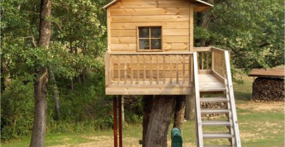 Tree Houses Plans and Designs Simple Tree House Design Plans Easy to Build Tree House