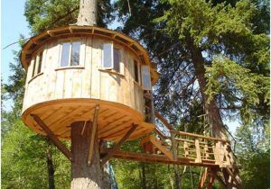 Tree Houses Plans and Designs Tree House Designs and Plans Margusriga Baby Party