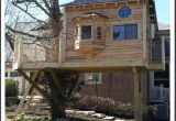 Tree Houses Plans and Designs Tree House Plans Design
