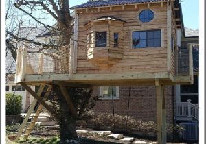 Tree Houses Plans and Designs Tree House Plans Design