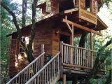 Treehouse Home Plans 18 Amazing Tree House Designs Mostbeautifulthings