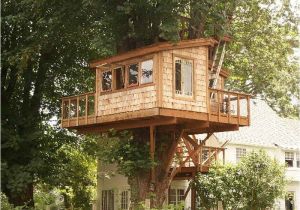 Treehouse Home Plans Outdoor Fantastic Treehouse Plans Awesome Treehouse