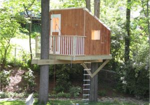 Treehouse Home Plans Small Tree House Plans Fresh Small Tree House Plans Tree