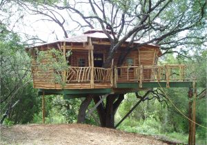Treehouse House Plans 18 Amazing Tree House Designs Mostbeautifulthings