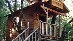 Treehouse House Plans 18 Amazing Tree House Designs Mostbeautifulthings