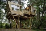 Treehouse House Plans 33 Simple and Modern Kids Tree House Designs Freshnist
