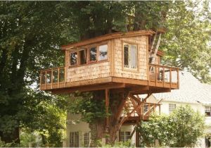 Treehouse House Plans How to Build A Simple Treehouse without A Tree Wooden Global