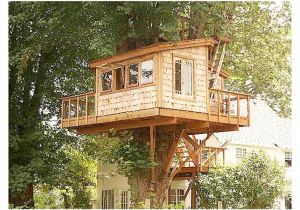 Treehouse House Plans Plans for A Tree House Luxury Brilliant Tree House