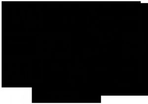 Triple Wide Mobile Home Floor Plans Welburg 40 X 74 3001 Sqft Mobile Home Factory Expo Home