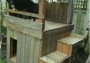 Two Dog Dog House Plans Beautiful 2 Story Dog House Plans New Home Plans Design Two Dog Dog House Plans Beautiful 2 Story Dog House Plans New Home Plans Design