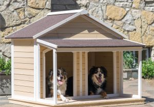 Two Dog Dog House Plans Large Double Dog House Plans Home Deco Plans