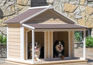 Two Dog Dog House Plans Large Double Dog House Plans Home Deco Plans Two Dog Dog House Plans Large Double Dog House Plans Home Deco Plans