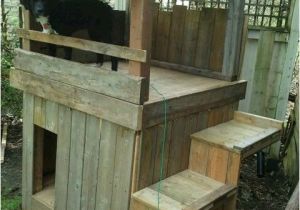 Two Story Dog House Plans Beautiful 2 Story Dog House Plans New Home Plans Design